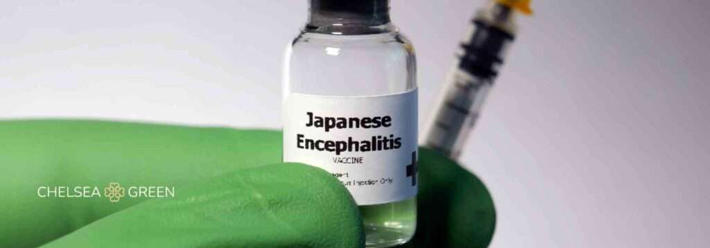 JE vaccine, malaria protection and more before you travel
