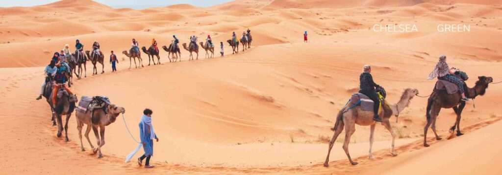 Camel ride on vacation