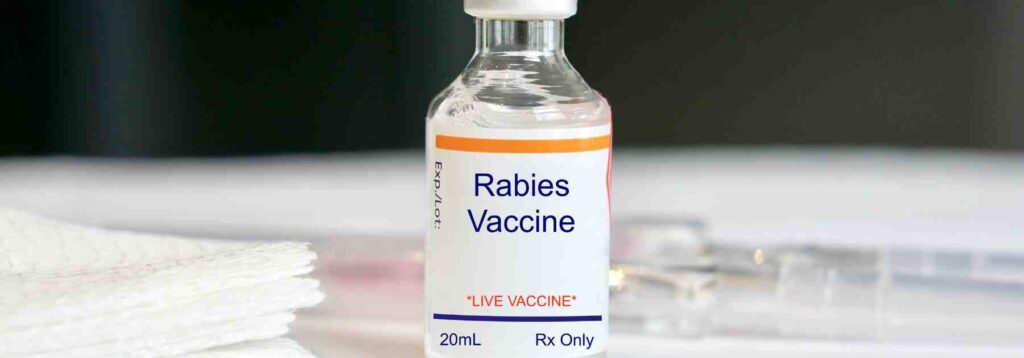 How long does the rabies vaccine last for long-term travel?