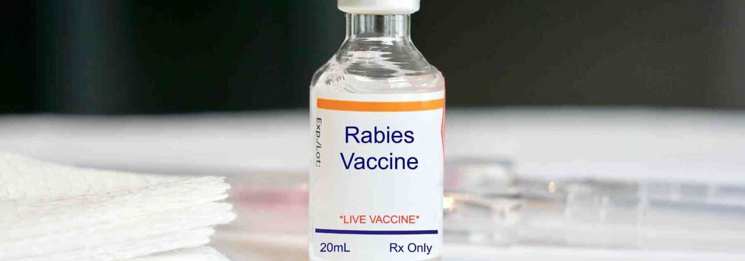 How Long Does A Rabies Vaccine Last In Humans