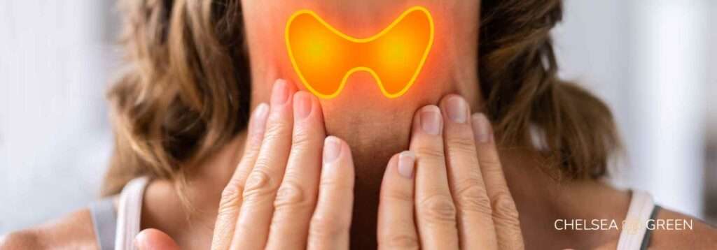 Highlighting thyroid