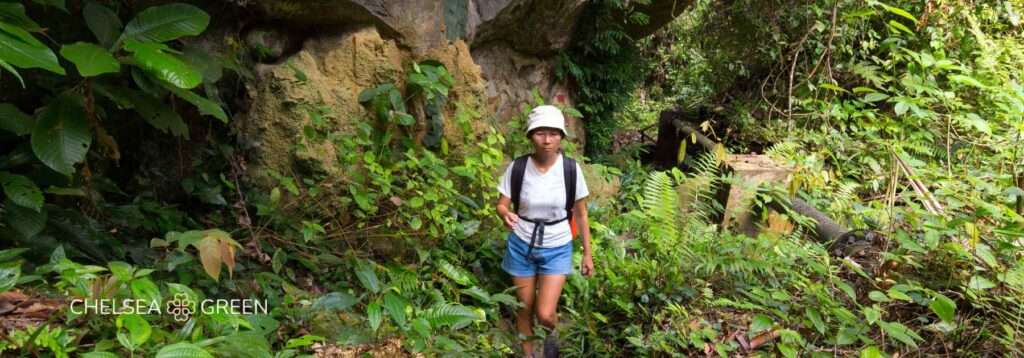Adventure holiday risk of yellow fever