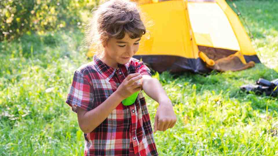 Get insect repellent spray for your holiday