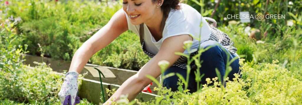 Gardening 