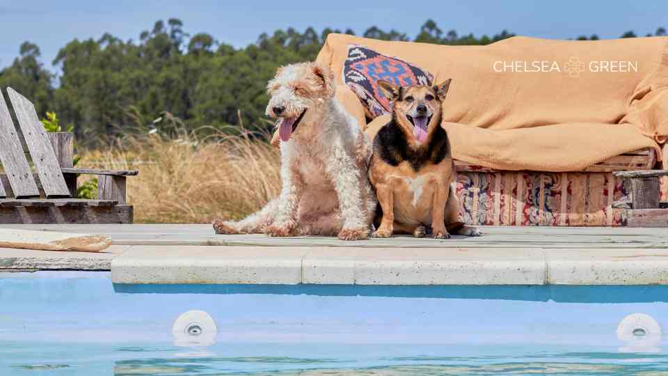 Common side effects of the rabies vaccine