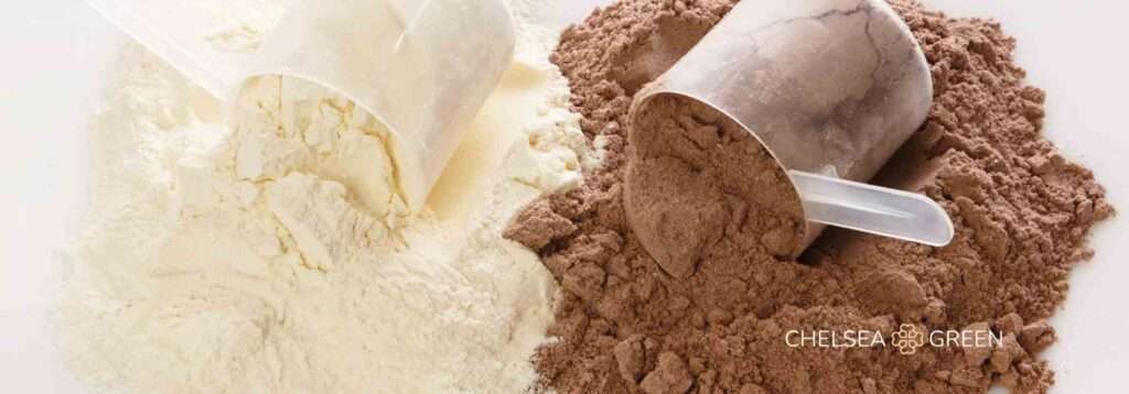 Protein powder for weight loss
