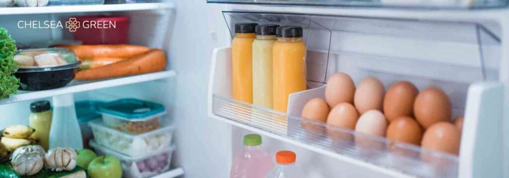 Healthy food in the fridge